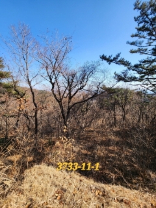 물건 사진 15