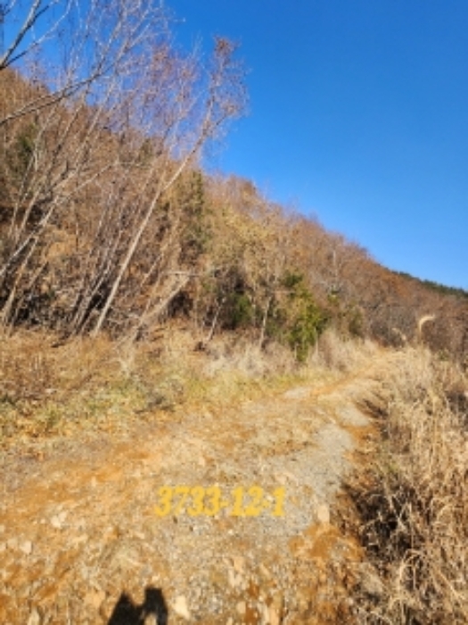 물건 사진 17