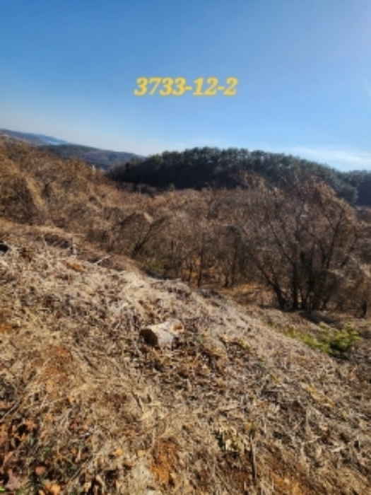 물건 사진 18