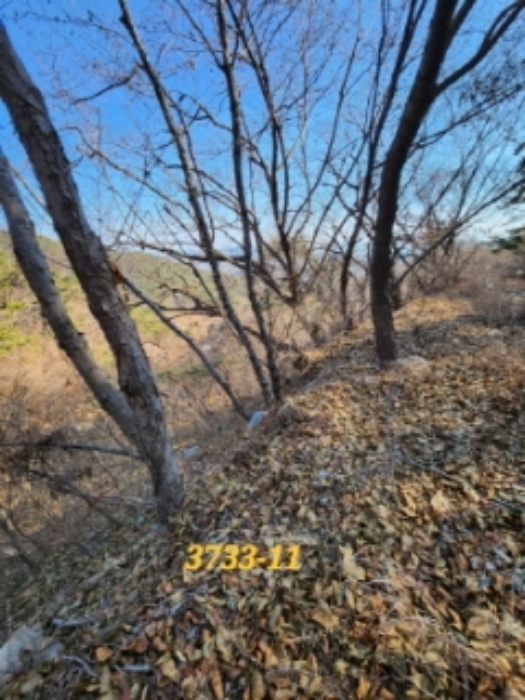 물건 사진 23
