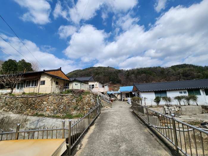 물건 사진 61