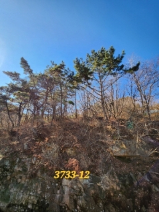 물건 사진 9