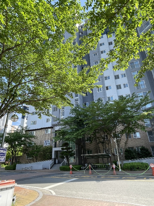 물건 사진 6