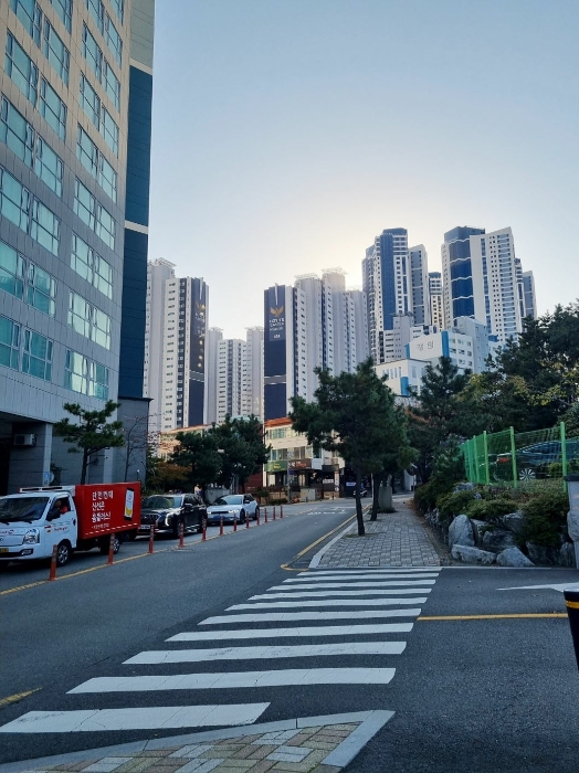 물건 사진 11
