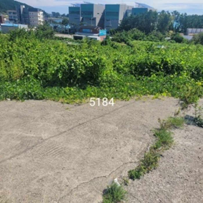 물건 사진 3