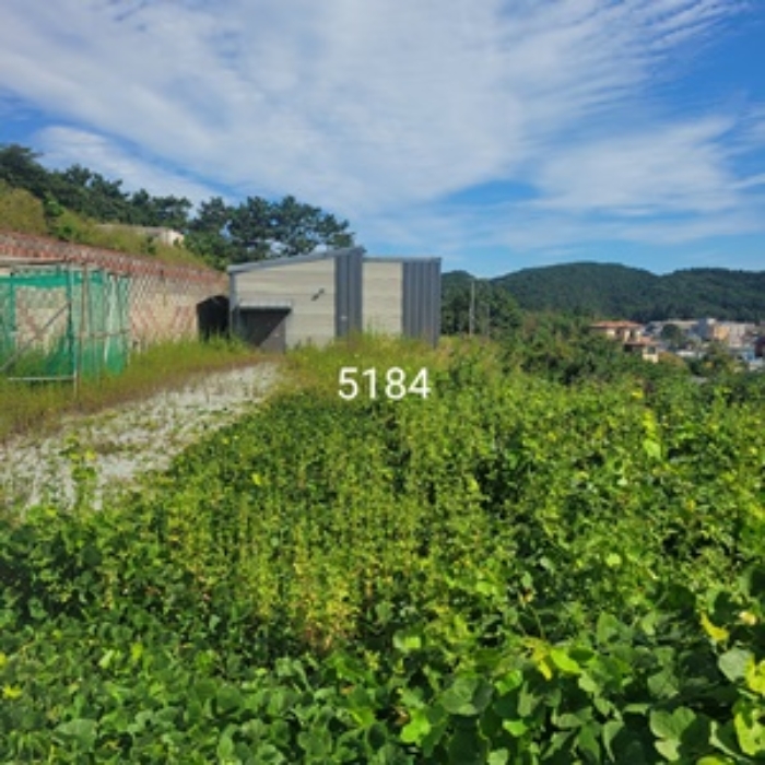 물건 사진 4