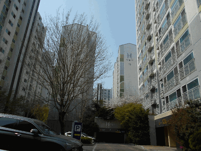 물건 사진 10