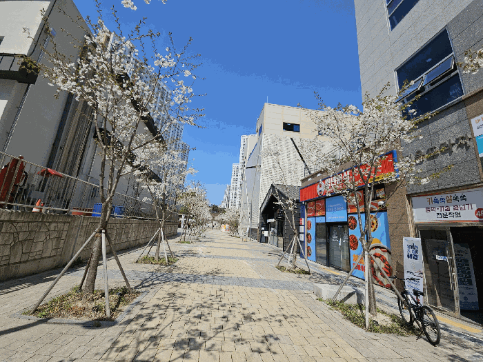 물건 사진 8