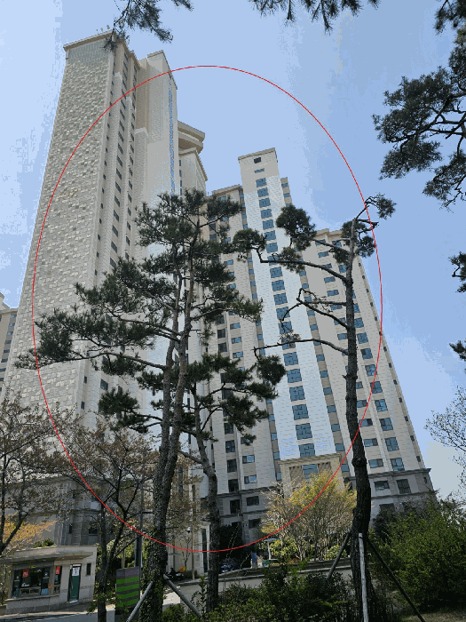 물건 사진 9
