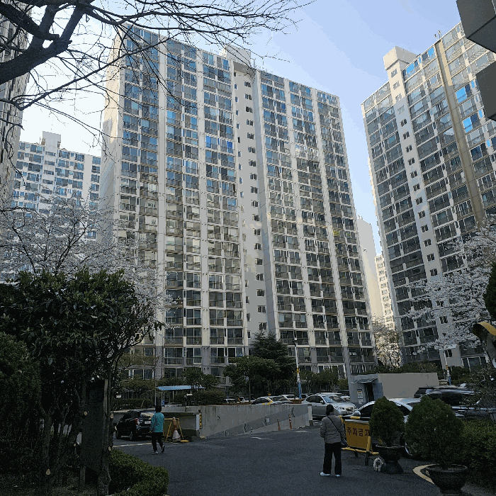 물건 사진 11