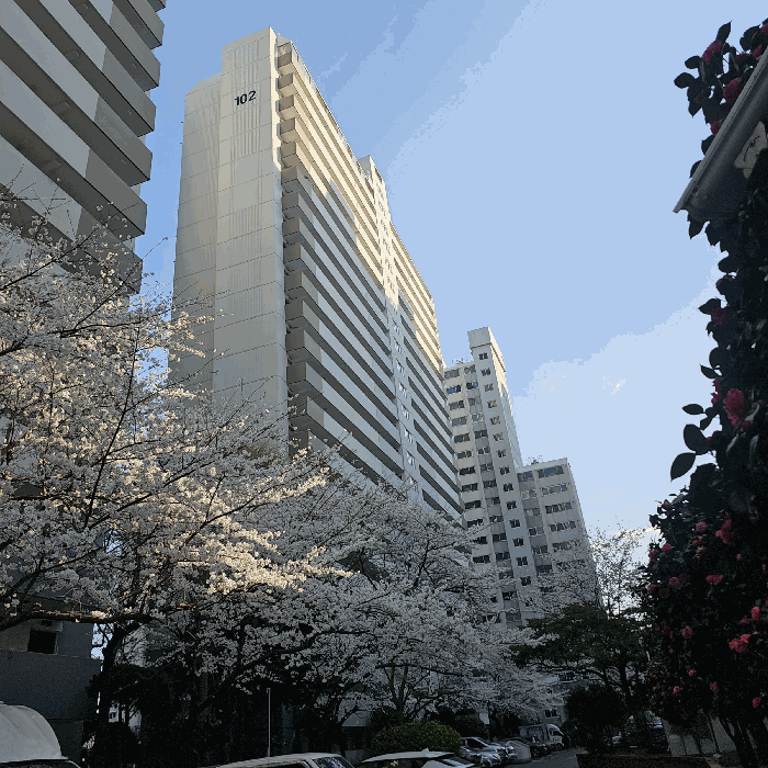 물건 사진 8