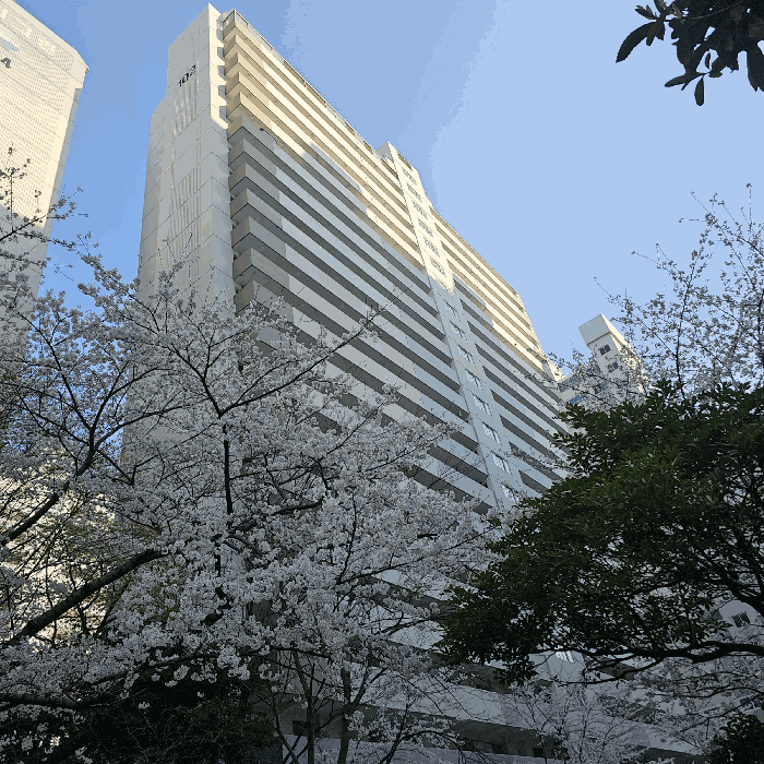 물건 사진 10