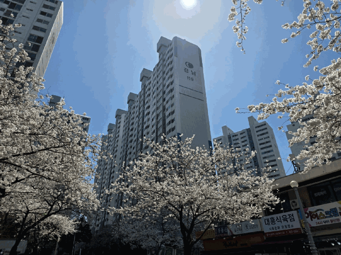 물건 사진 15