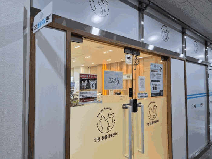 물건 사진 30