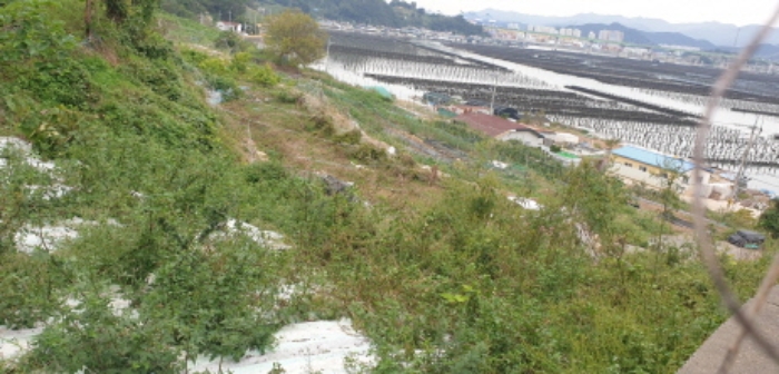 물건 사진 16