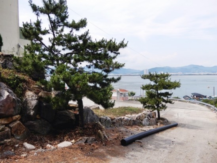 물건 사진 50