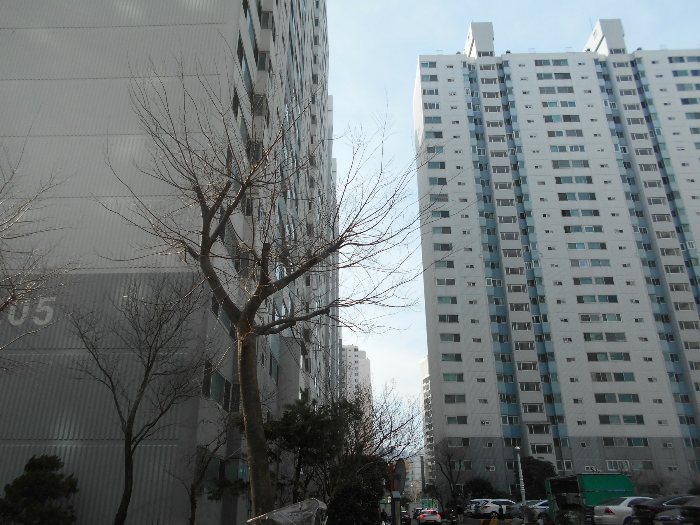 물건 사진 9