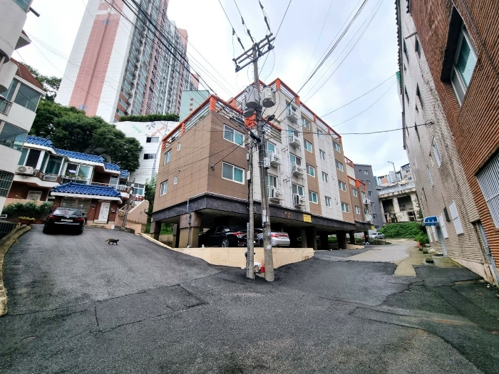 물건 사진 8
