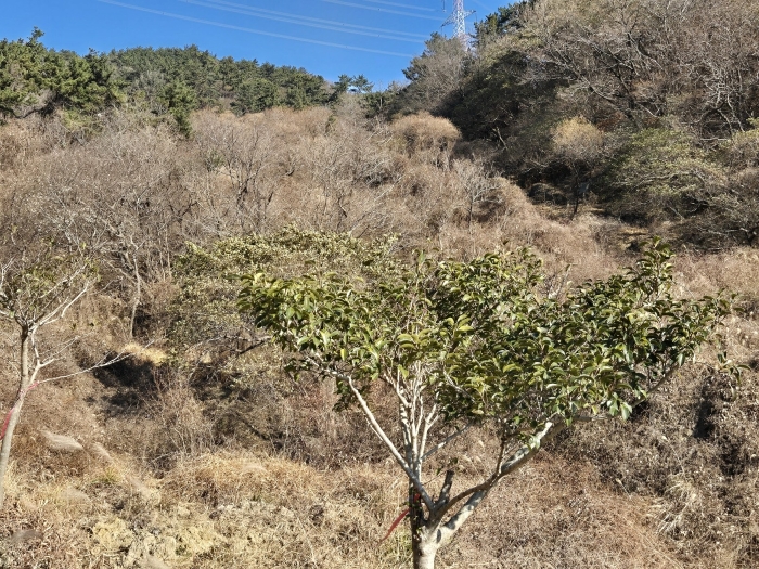 물건 사진 16