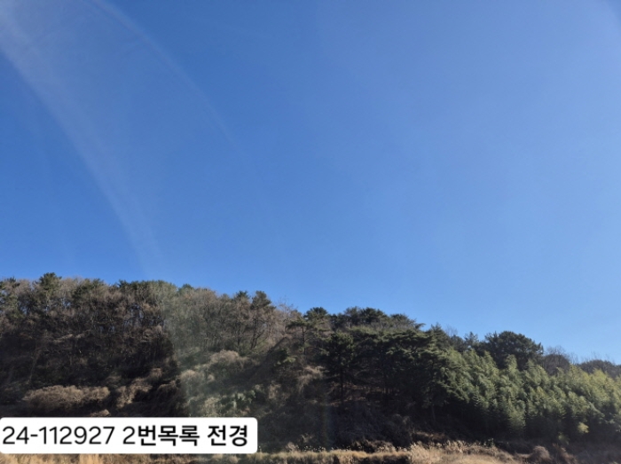 물건 사진 3