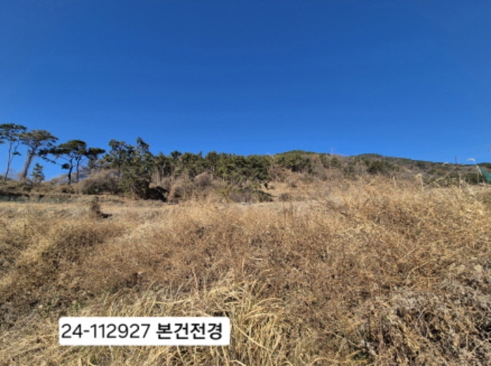 물건 사진 4