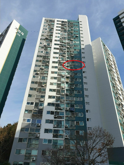물건 사진 5