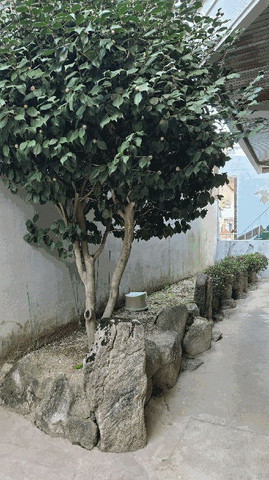 물건 사진 18