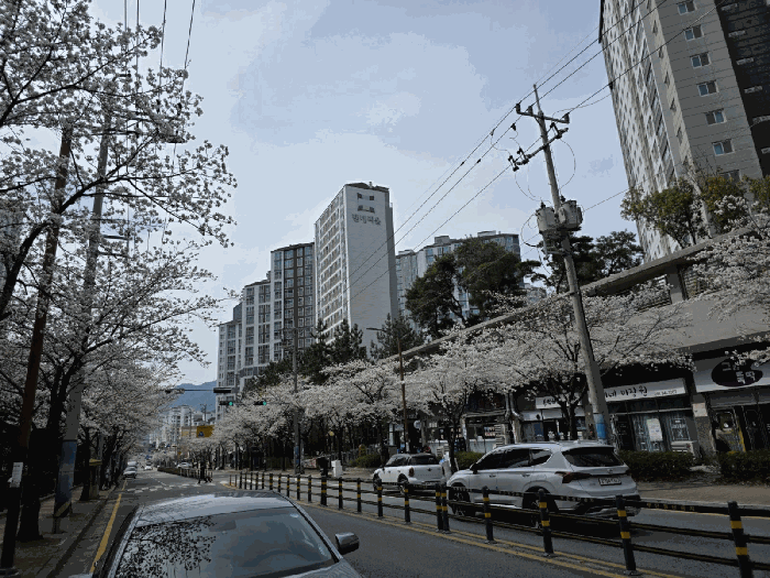 물건 사진 15