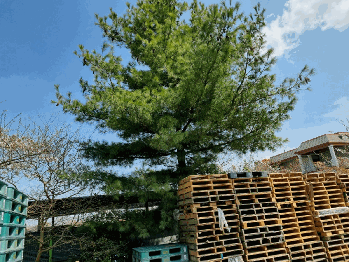 물건 사진 17