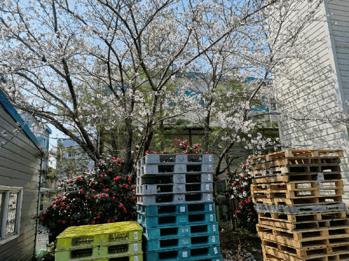 물건 사진 26