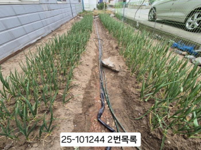 물건 사진 8
