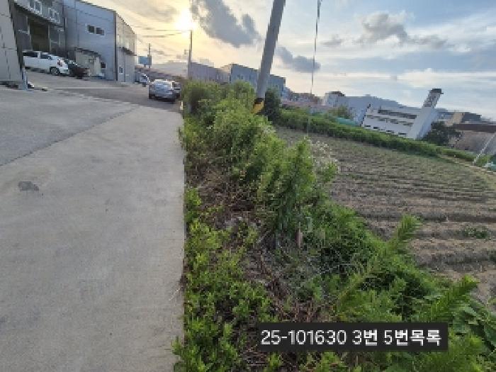 물건 사진 5