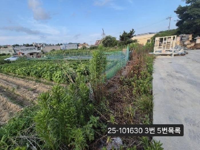 물건 사진 6