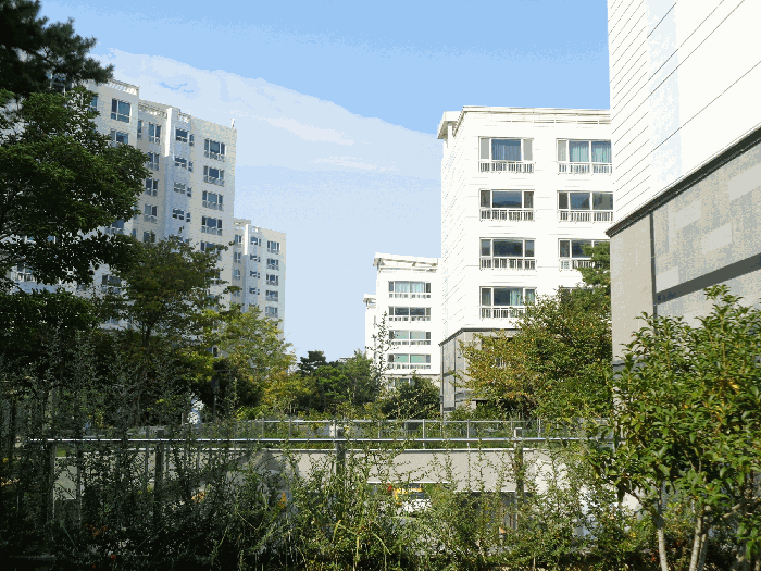 물건 사진 18