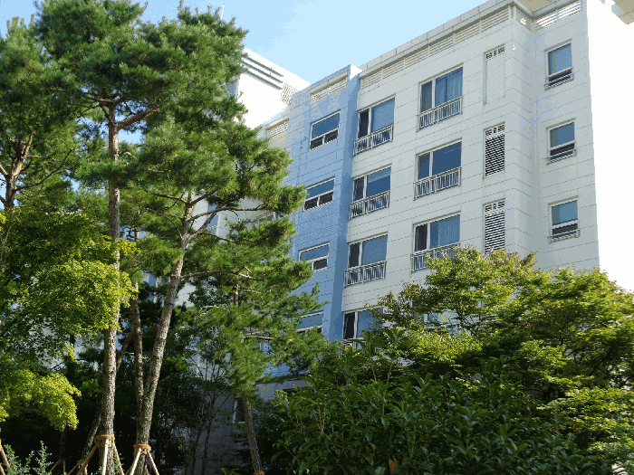 물건 사진 19