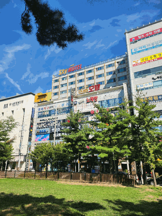 물건 사진 13