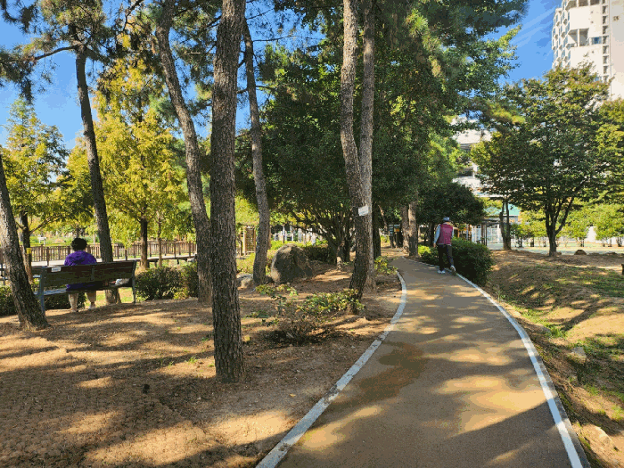 물건 사진 19