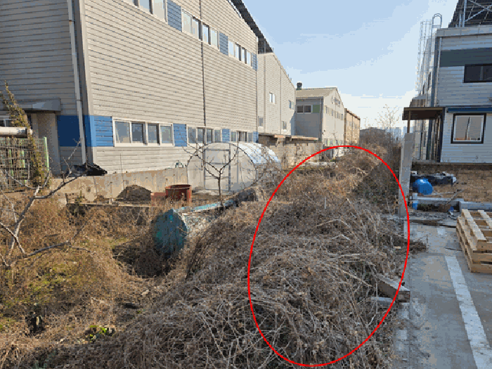 물건 사진 15