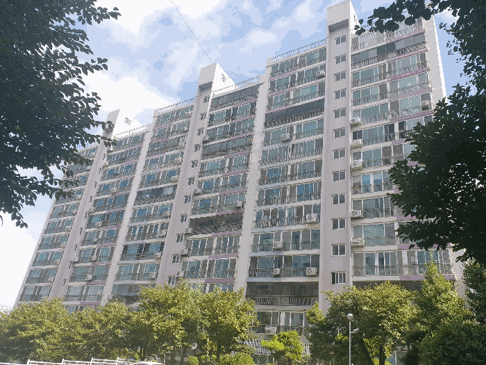 물건 사진 5
