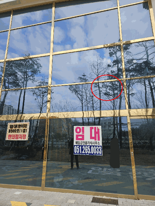 물건 사진 5