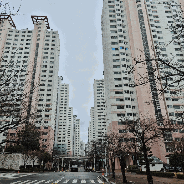 물건 사진 12