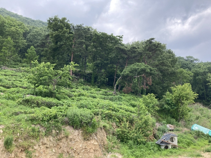 물건 사진 20