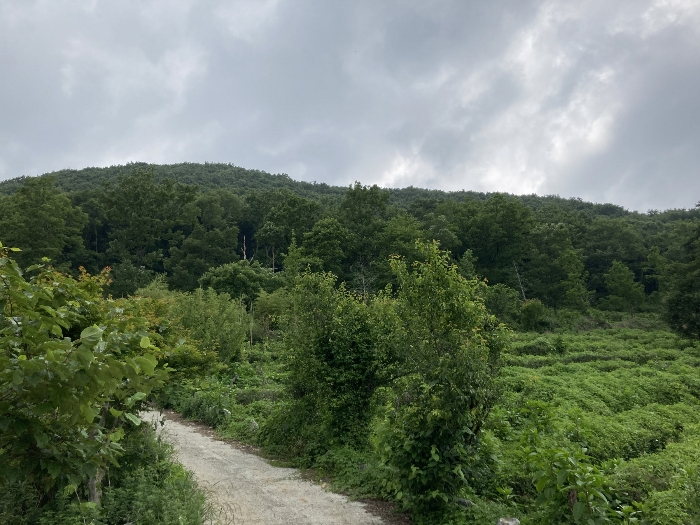 물건 사진 21