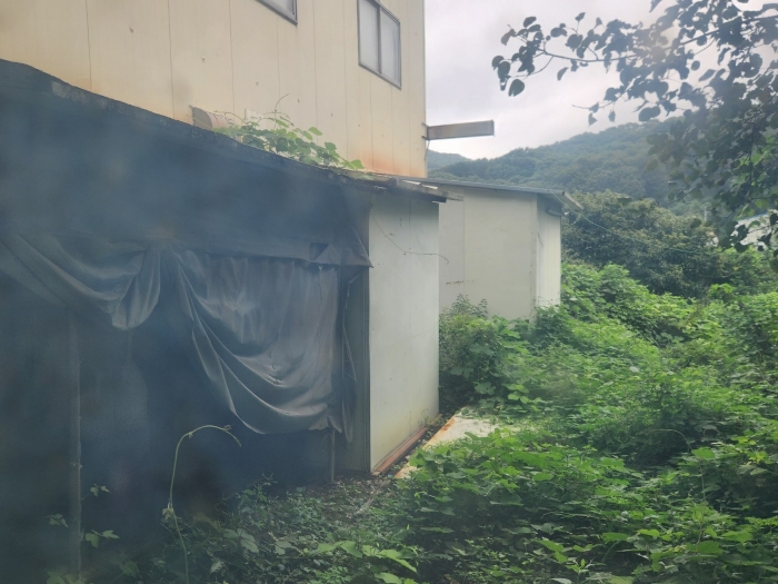 물건 사진 61