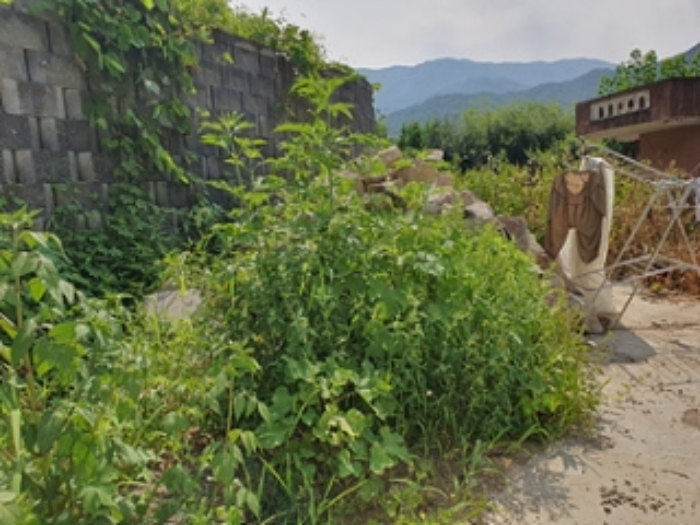 물건 사진 15