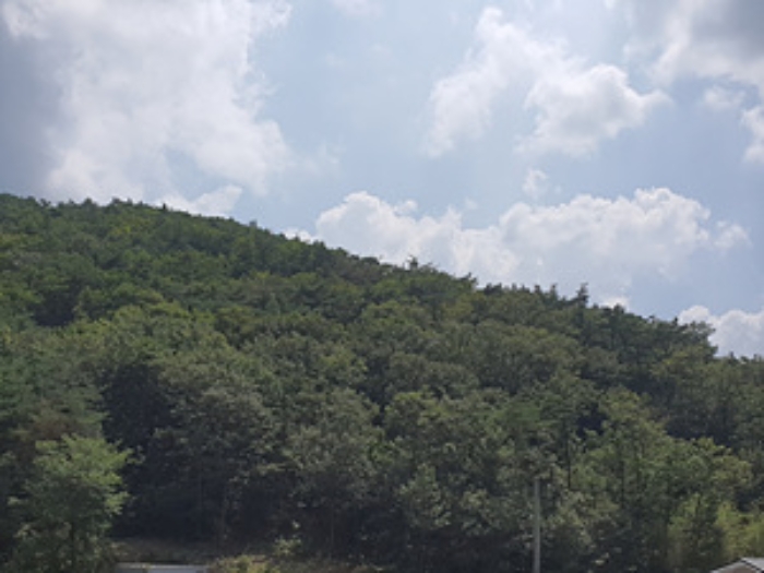 물건 사진 20