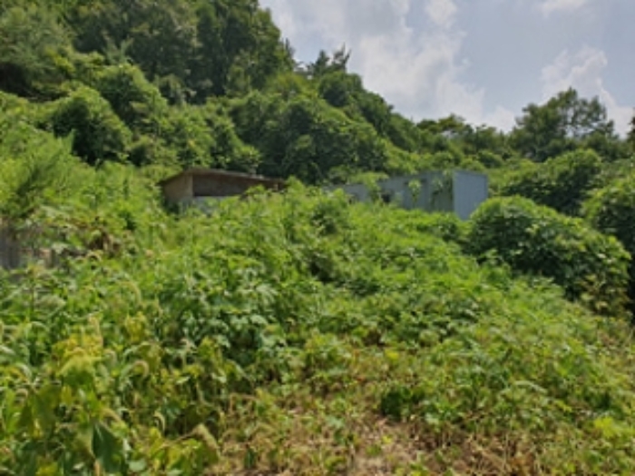 물건 사진 4