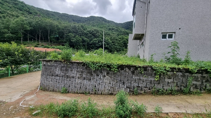 물건 사진 39