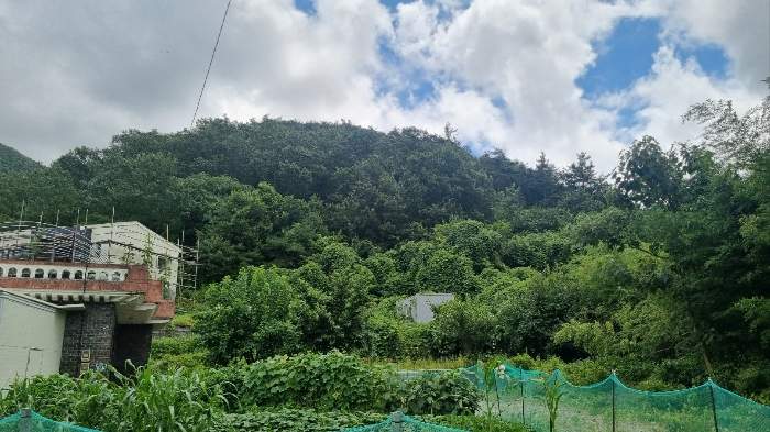 물건 사진 43