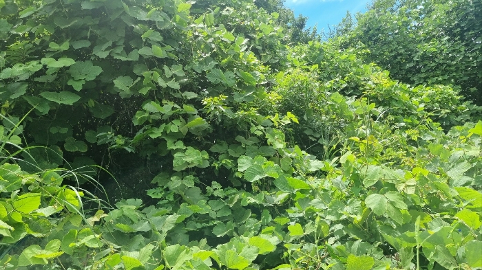 물건 사진 61